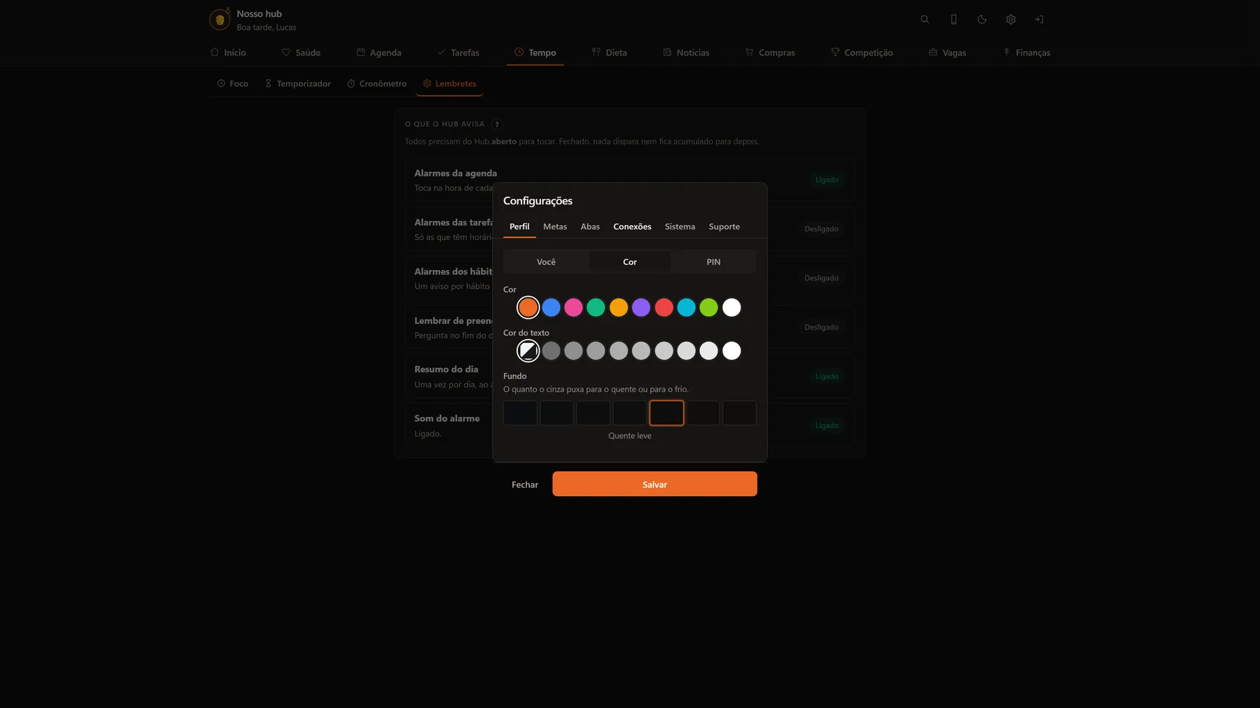 Tela de perfil do Hub aberta na aba Cor, com as dez cores do painel, os dez tons de texto e a escala de temperatura do fundo